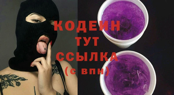 гидра Верея