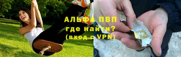 гидра Верея
