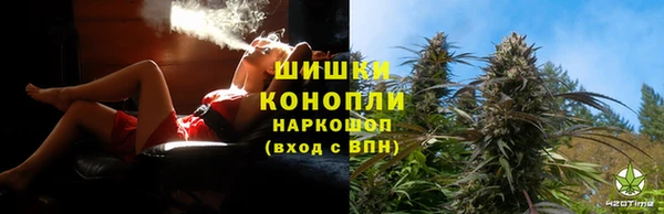 гидра Верея