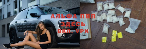 гидра Верея