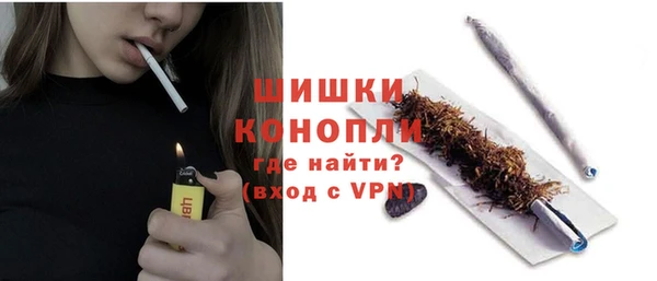 гидра Верея