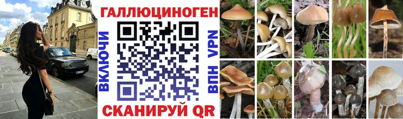 Галлюциногенные грибы мухоморы Кинель